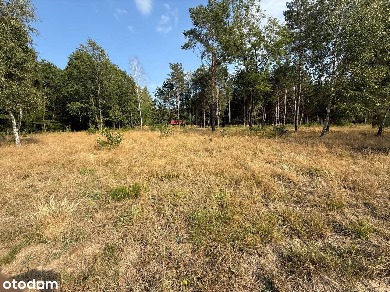 Działka z prywatnym dostępem do jeziora Sumino-8