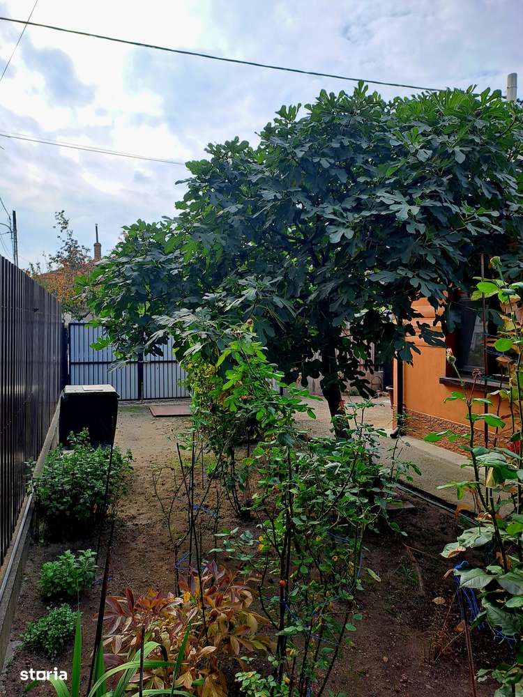 Craiova-Romanești,3camere,buc,baie,toate utilitățile, centrală  gaz-9