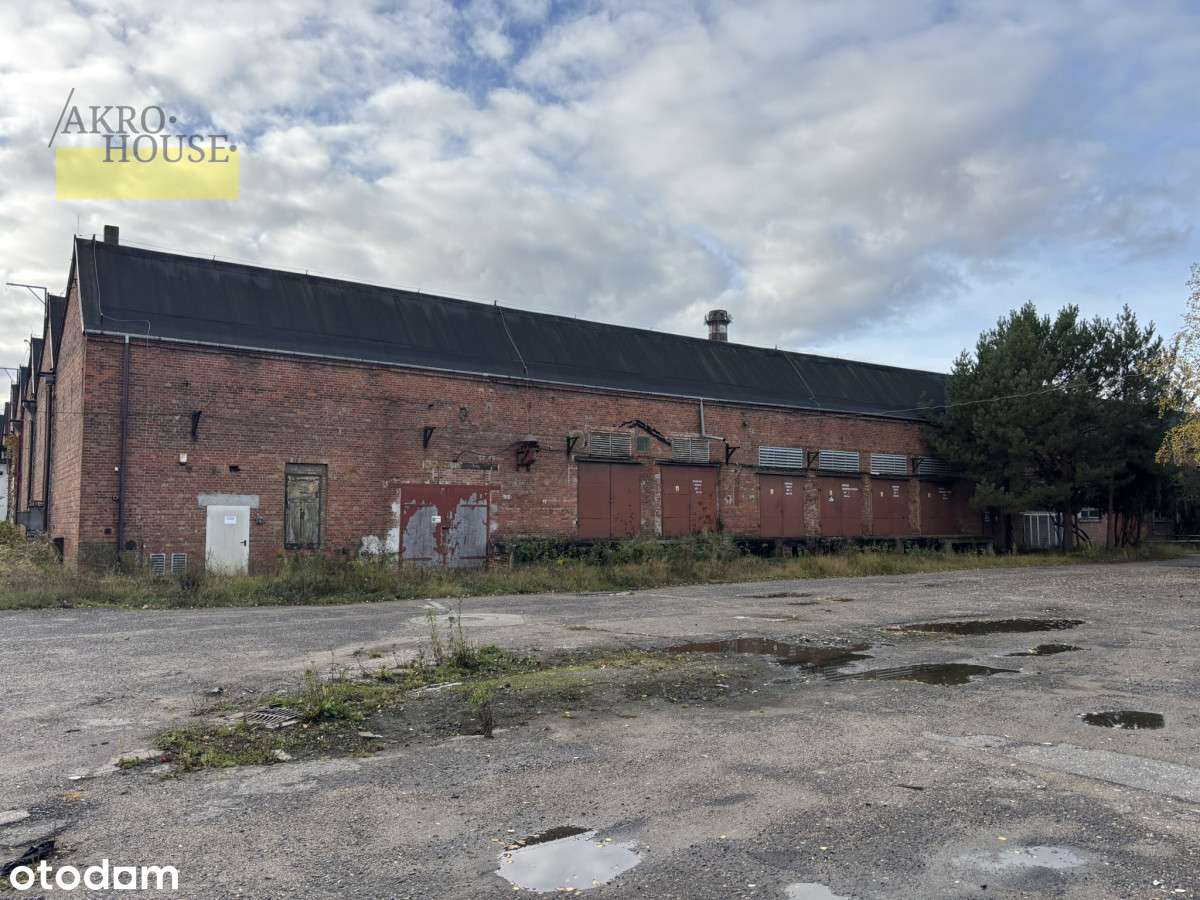 Teren produkcyjno-magazynowy - 24km od A2 Wiskitki - Pełny obrazek: 4/10