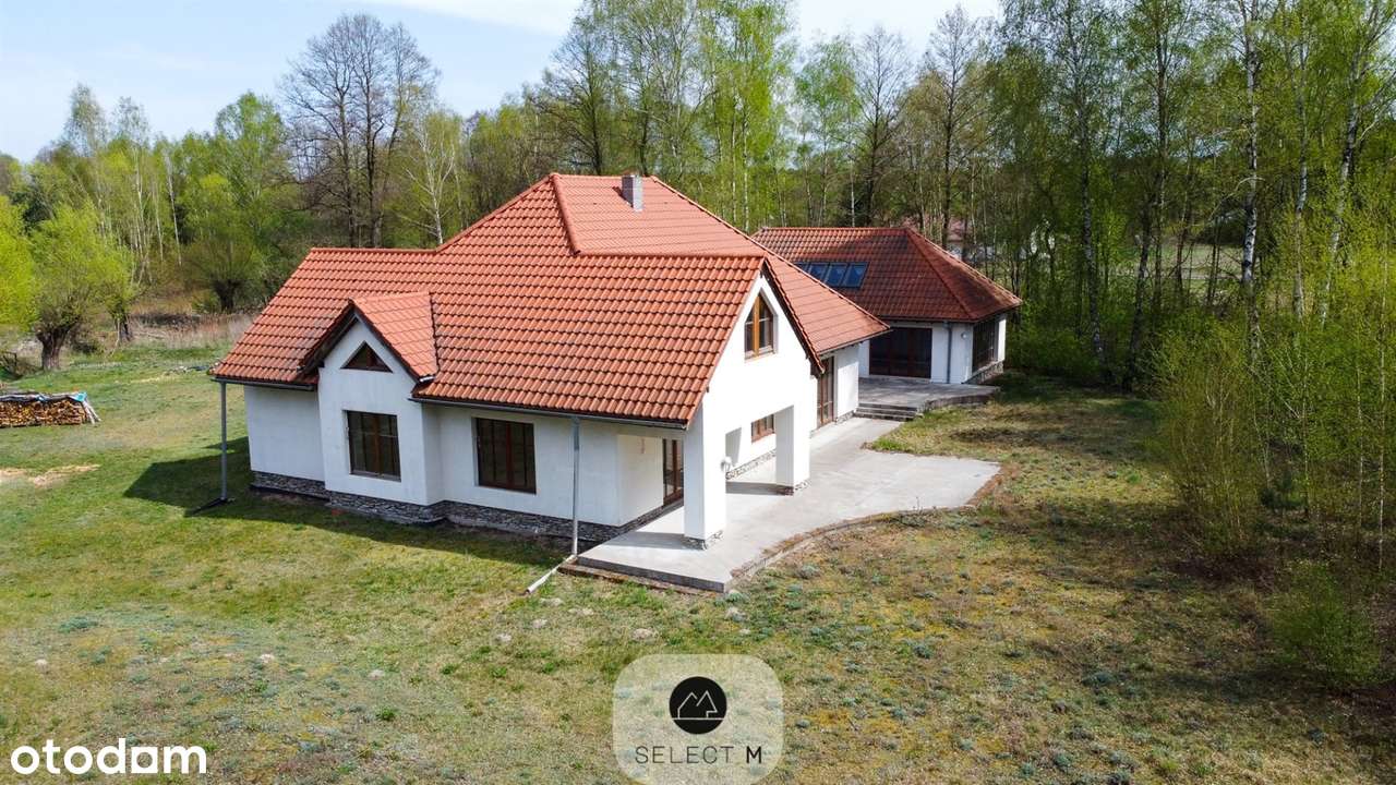 Dom z basenem w otoczeniu lasu - Pełny obrazek: 4/19