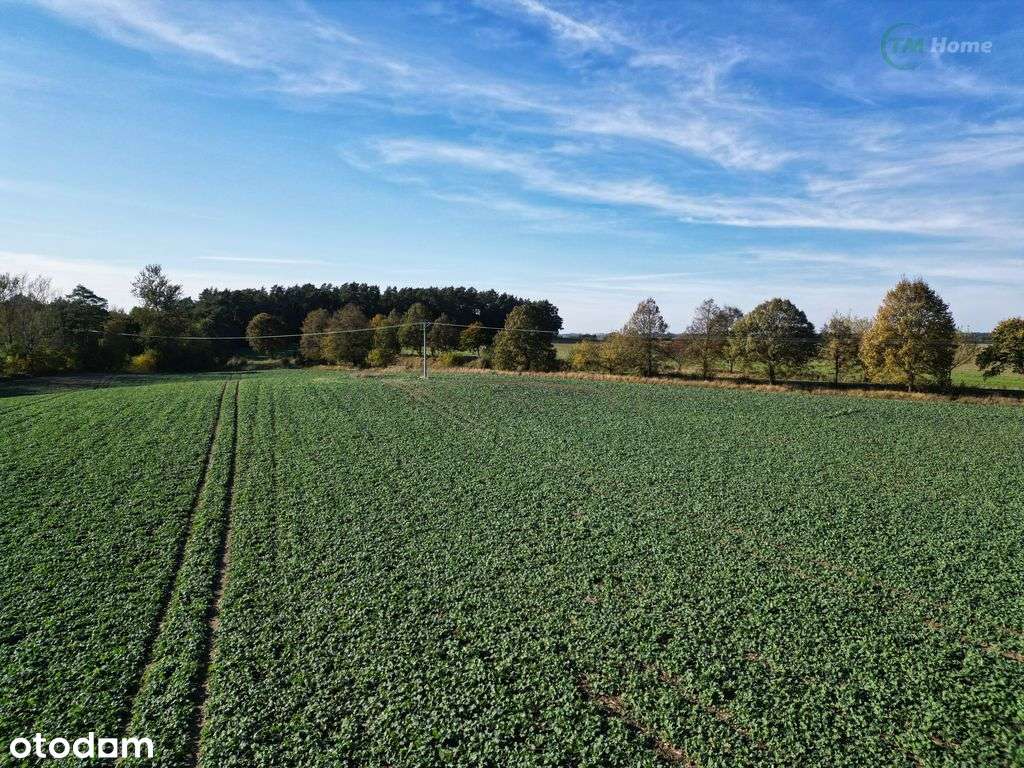 Działki pod Kołobrzegiem w bardzo dobrej cenie ! - Pełny obrazek: 4/8