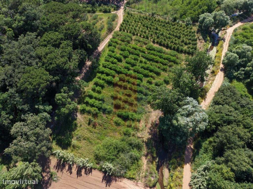 Terreno Rústico com 5.900 m² junto ao Rio Arnóia-18