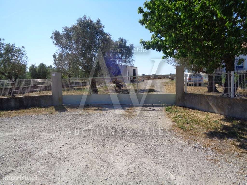 Terreno rústico - VÁRZEA - SANTARÉM |LEILÃO ELETRÓNICO| FIM 06*MAI - Grande imagem: 4/10