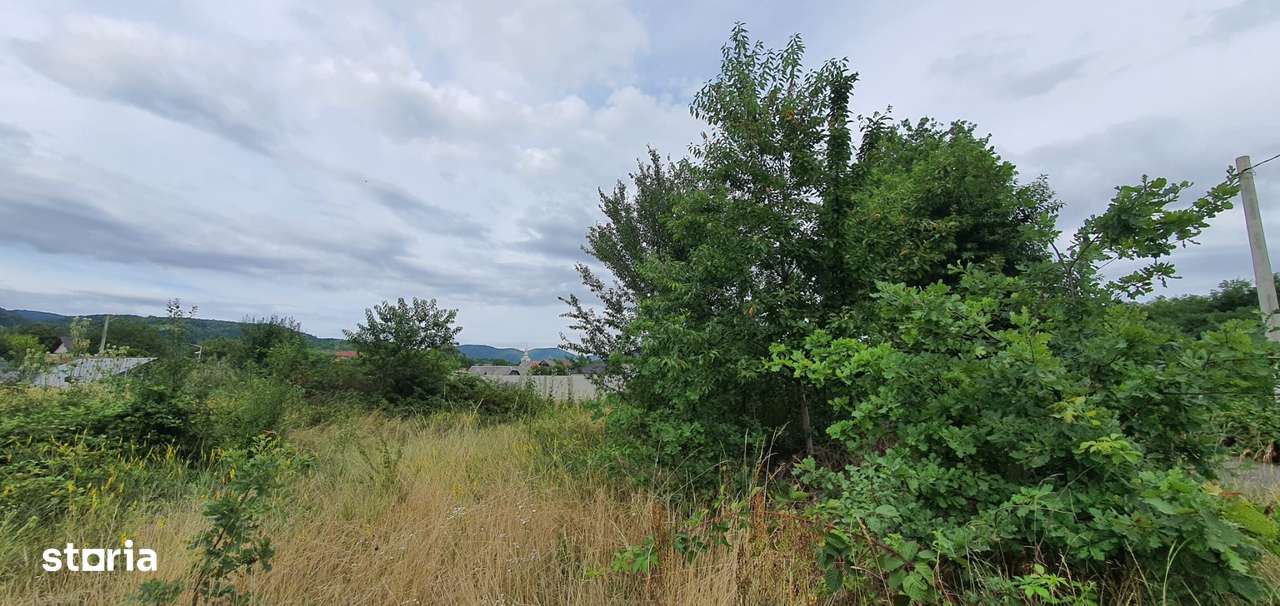 Tautii Magheraus tere intravilan de vanzare - Imagine principală: 4/10