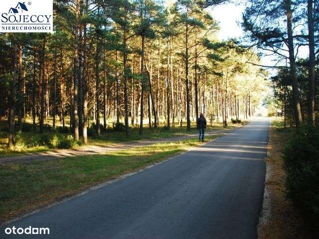 Działka siedliskowa - Krzyż - 12 001 m2-8