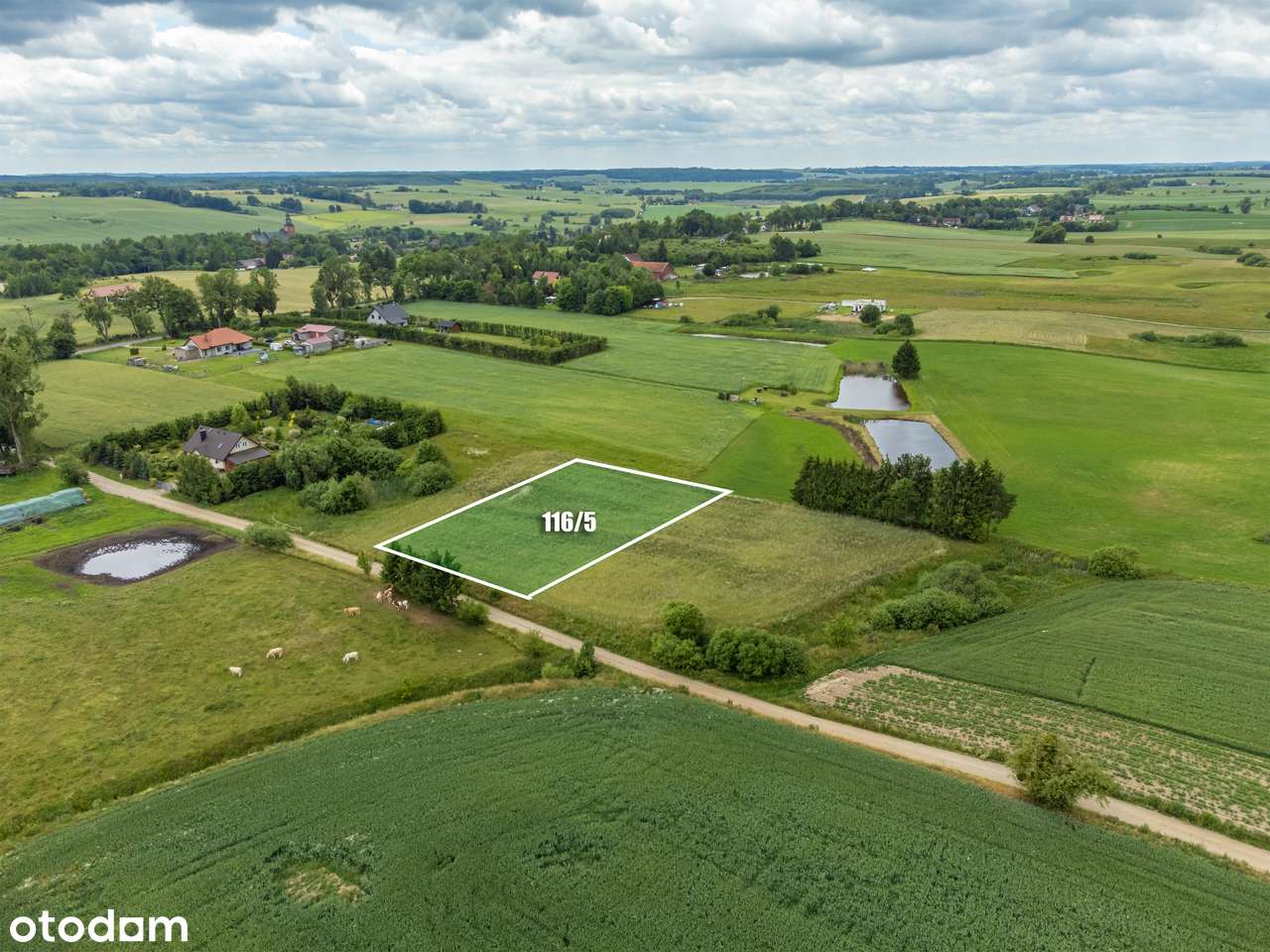 Działka budowlana w Głotowie - Pełny obrazek: 4/16