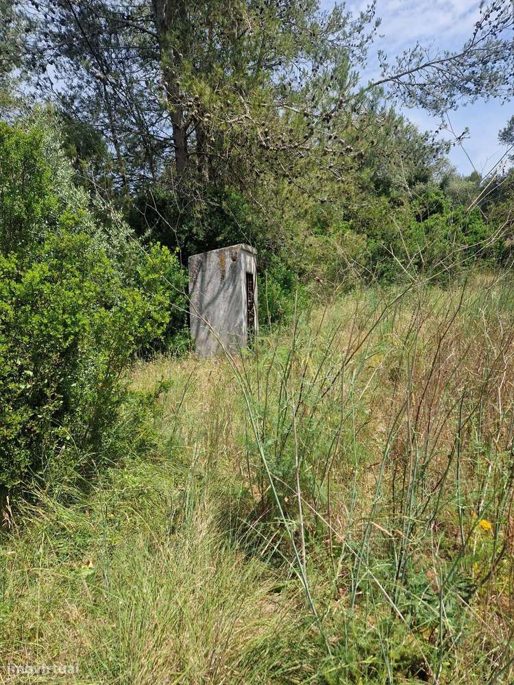 Terreno Rústico - Grande imagem: 2/18