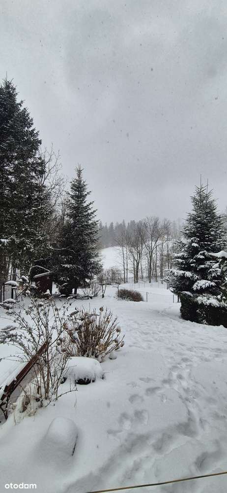Na sprzedaż atrakcyjna działka położona w malowniczej miejscowości-5
