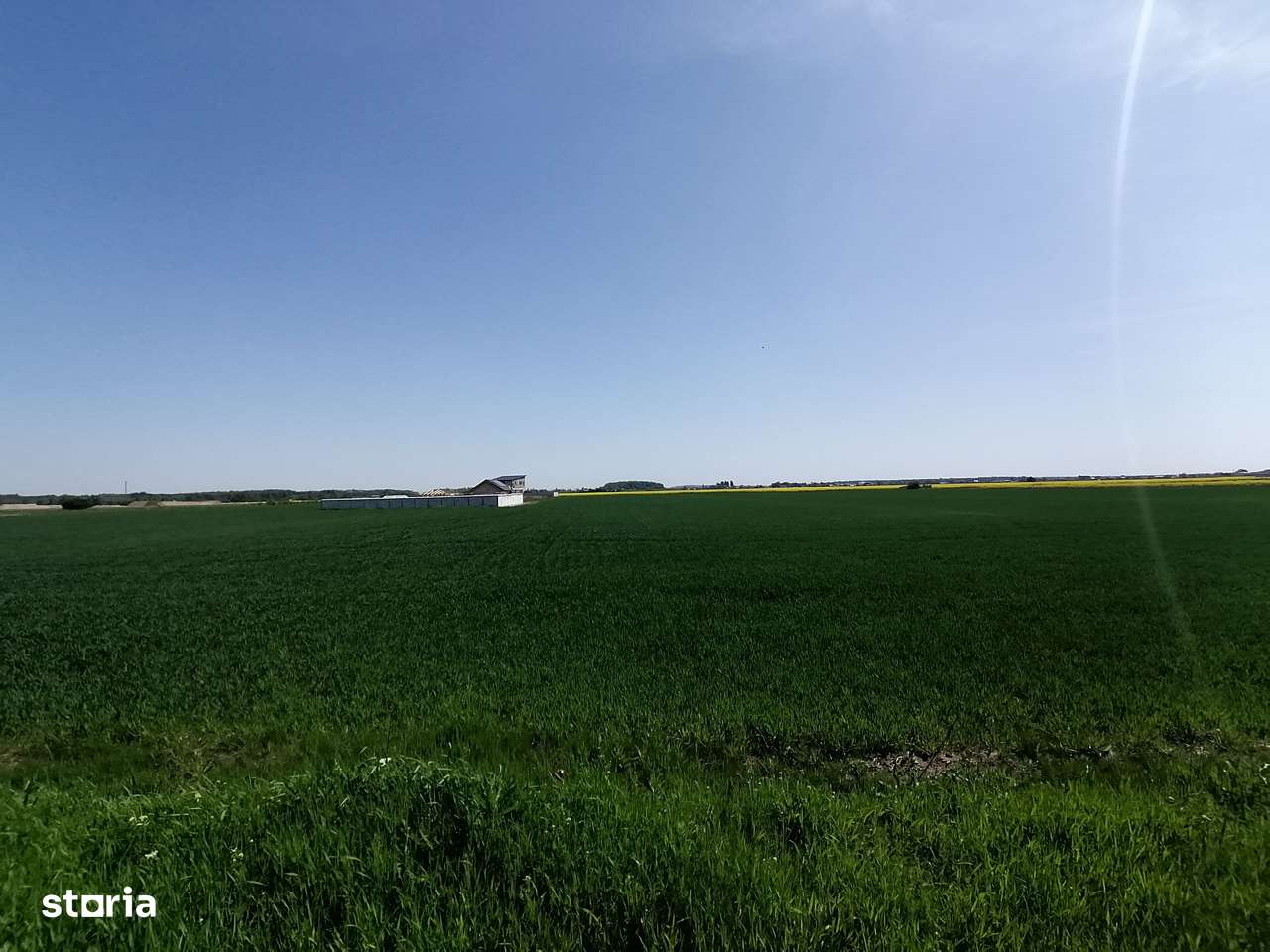 Teren intravilan 9313 mp in comuna 1 Decembrie - Ilfov - Imagine principală: 2/4