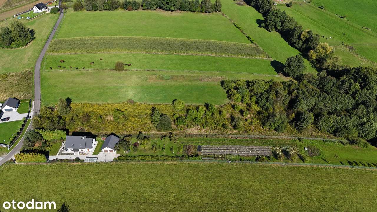 Działka RM Tomaszowice, ul. Różana-2