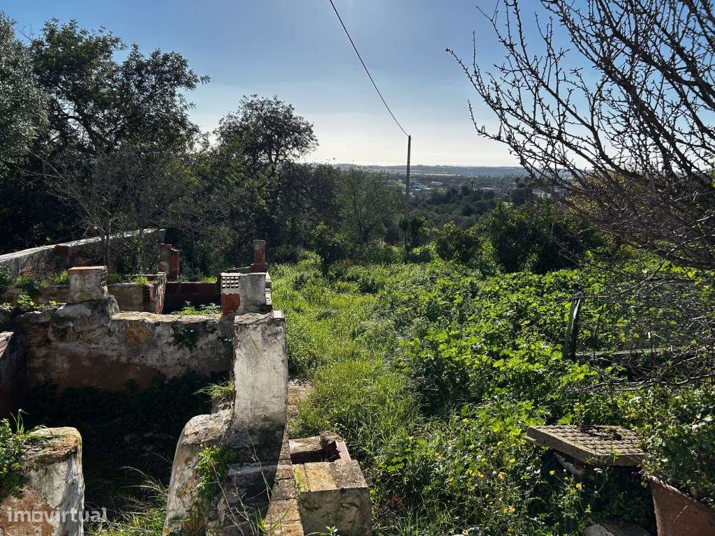 Terreno para construção de moradia com piscina - Boliqueime - Grande imagem: 4/12