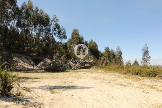 Terreno para loteamento Silvares S. Martinho Fafe-6