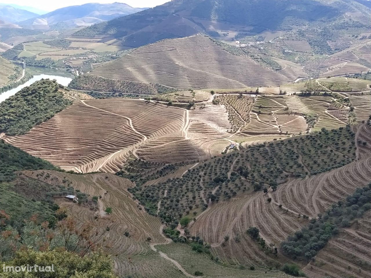 Terreno com 14800m2, Vista para Rio Douro