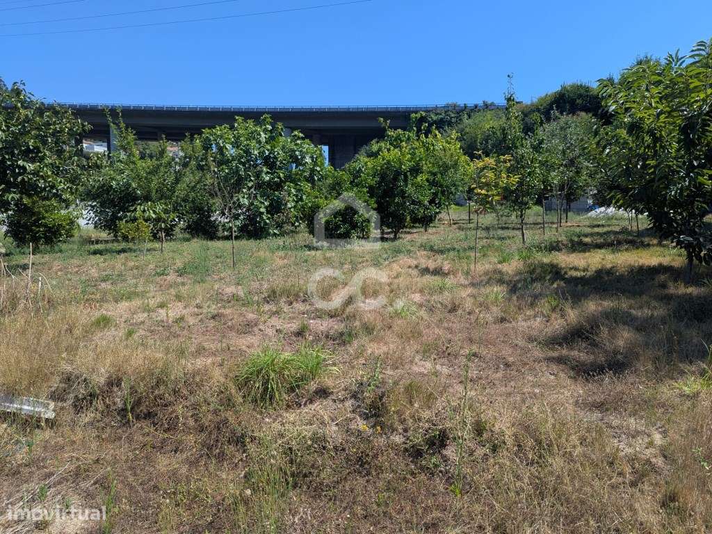 Terreno Rústico Agrícola com 13.410m² - Serzedelo, Guimarães - Grande imagem: 3/32