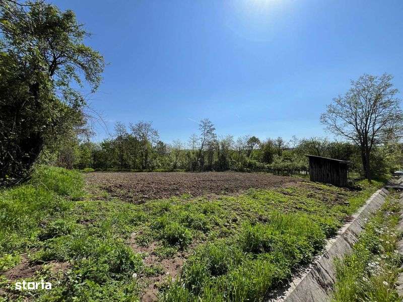 Vand teren 1.400 mp in sat Lacurile , comuna Ciofrangeni ,jud. Arges - Imagine principală: 5/8