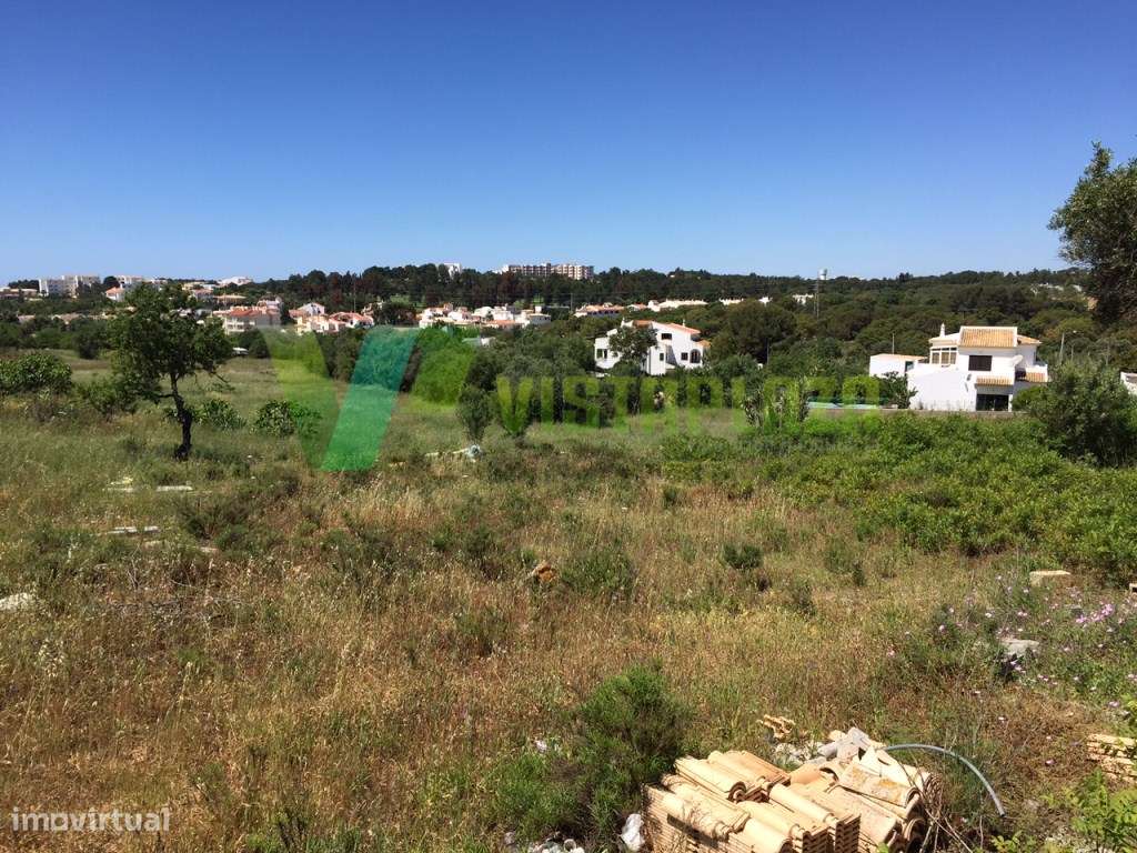 Terreno Vale França, 13680m2 de Área. Para Construção de uma Moradi... - Grande imagem: 3/3