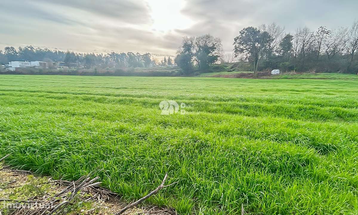 Terreno 10.000m² - Lemenhe - Grande imagem: 4/12