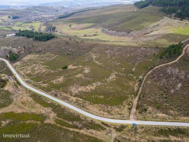 Terreno, 95 000 m², Chã - Grande imagem: 3/3