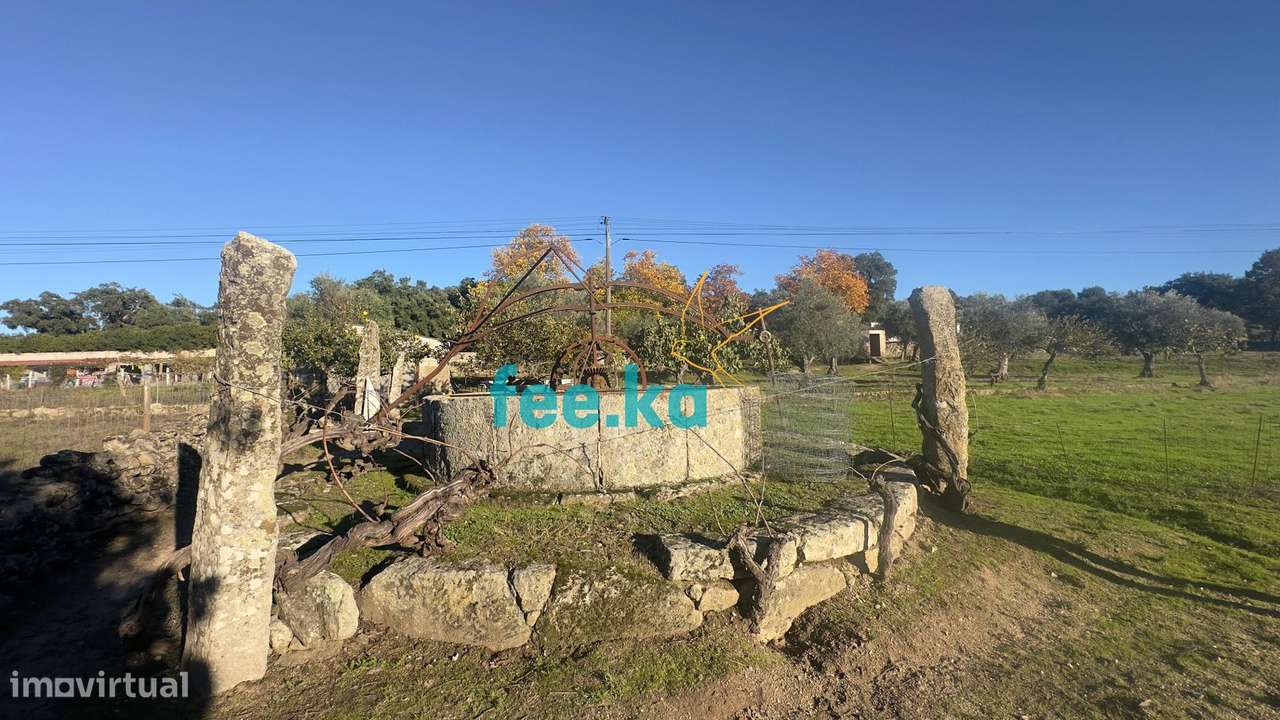 Quinta em Escalos de Baixo-13