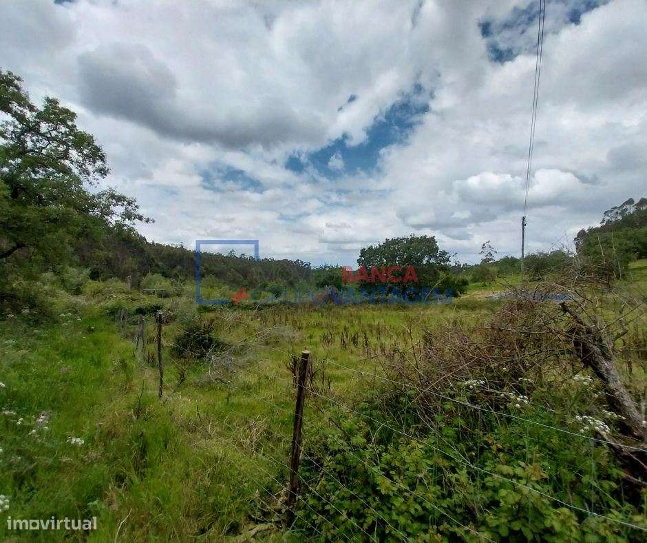 TERRENO RÚSTICO COM 1150 M2, SANTIAGO DO LITÉM - Grande imagem: 4/11