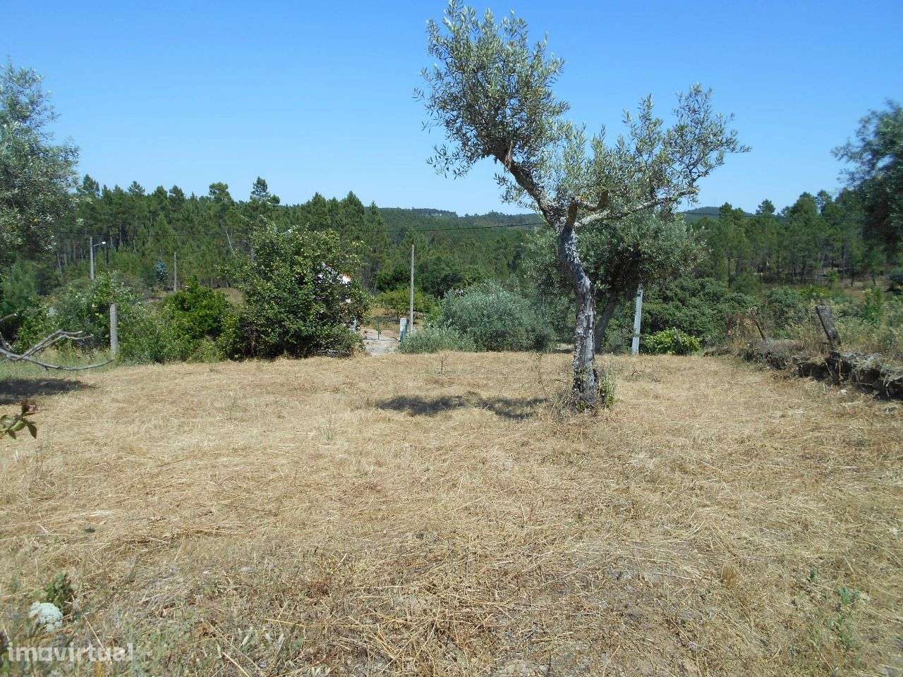 Quintinha - Grande imagem: 3/7