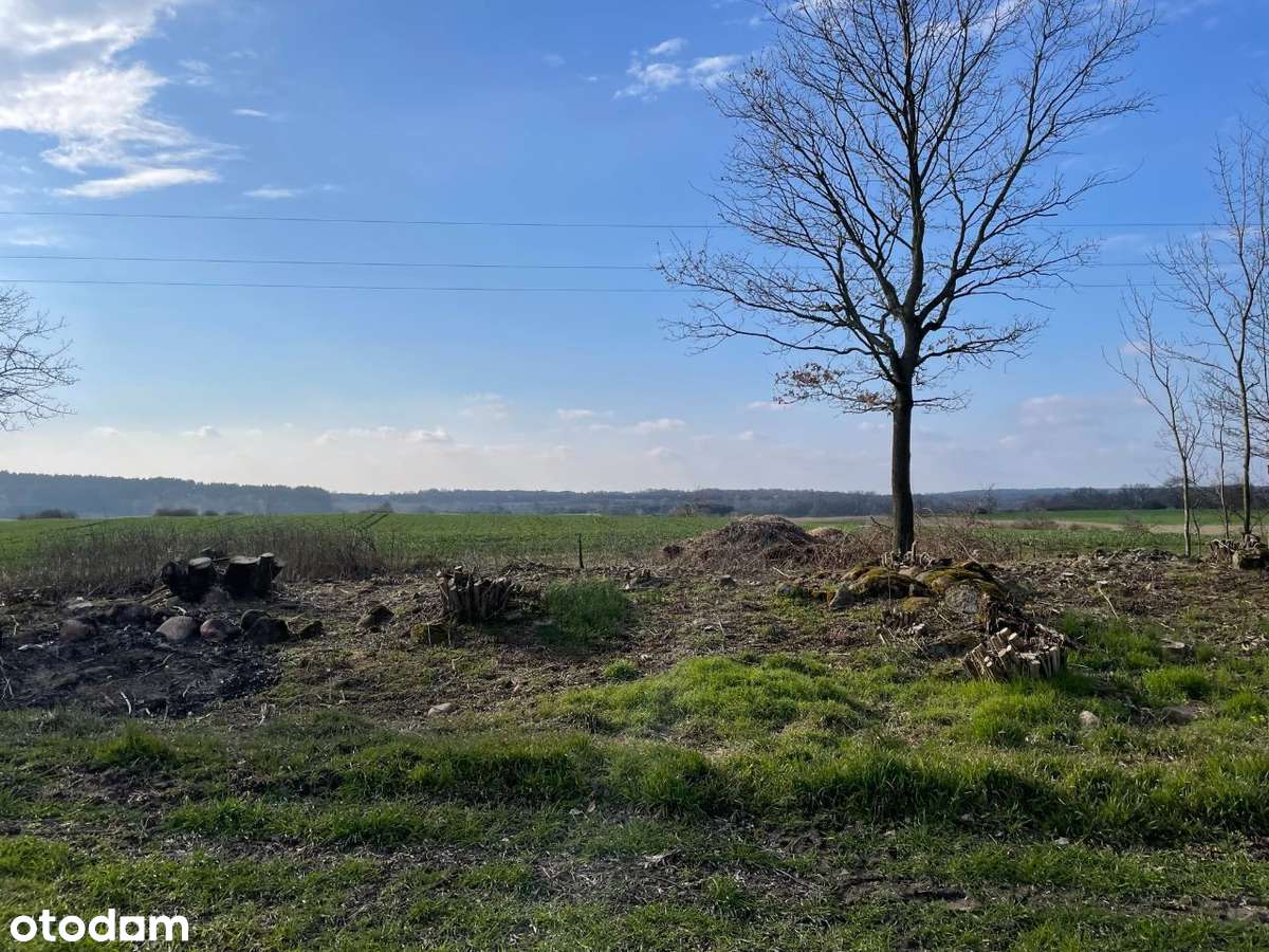 Działka 3600 m² Jemiołów(Łagów Lubuski) w malowniczej okolicy - Pełny obrazek: 5/11