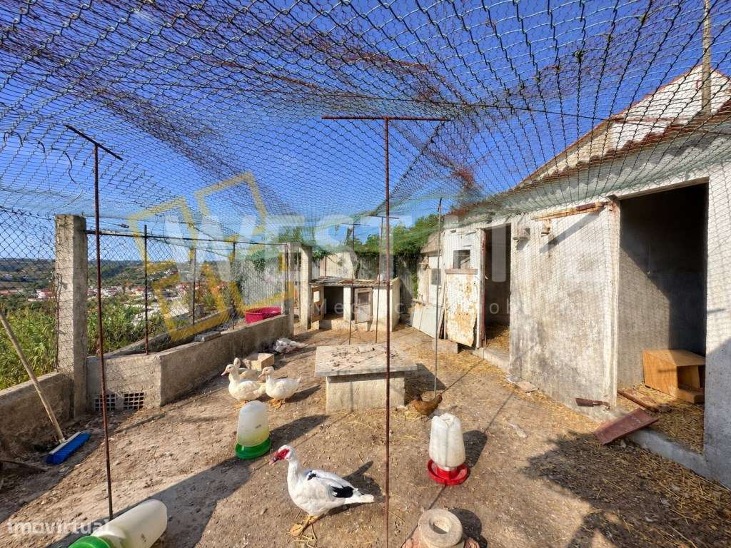 Terreno Urbano com Potencial para Construção de Moradias | EXCLUSIV...-18