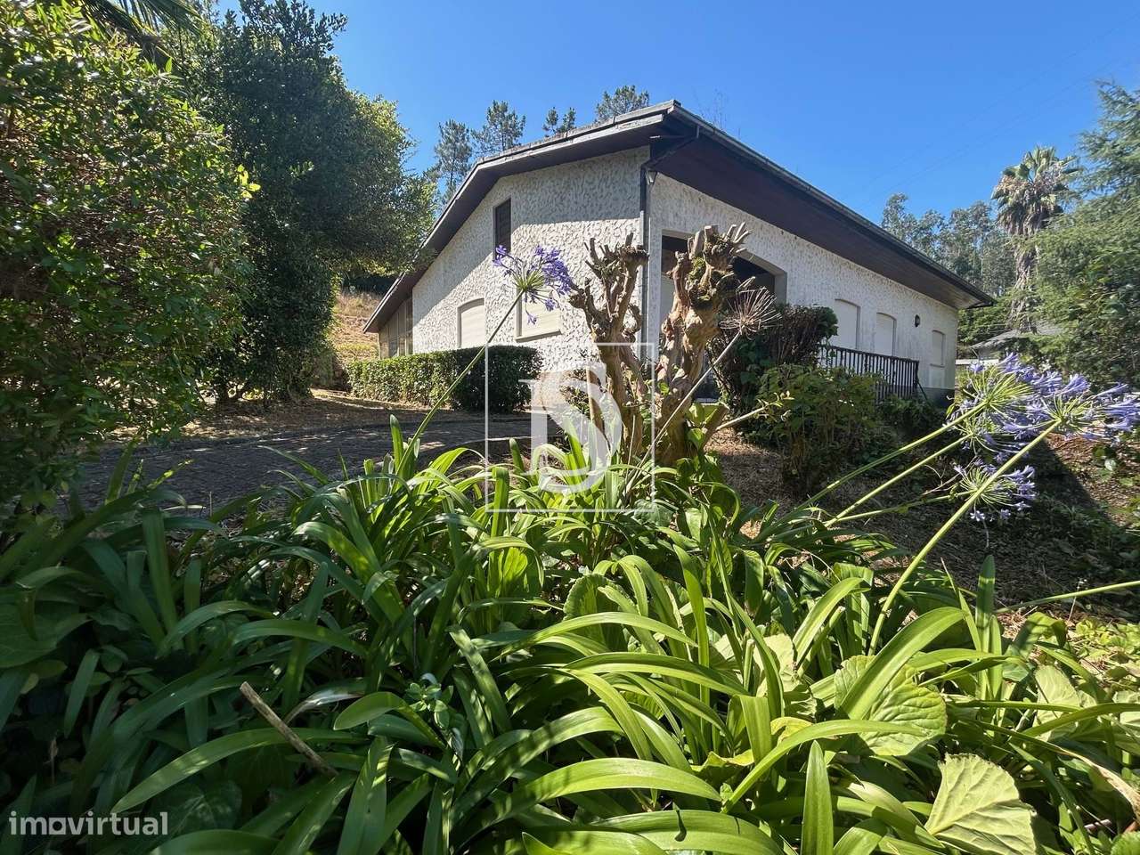 Quinta com 24.300m² em Vale de Açores, Mortágua - Grande imagem: 4/60