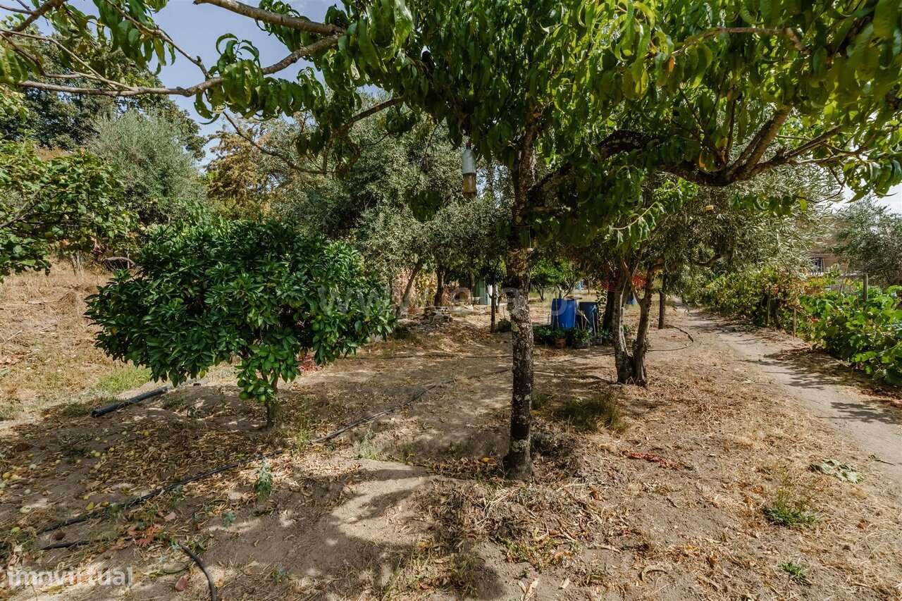 Terreno / Covilhã, Tortosendo-8