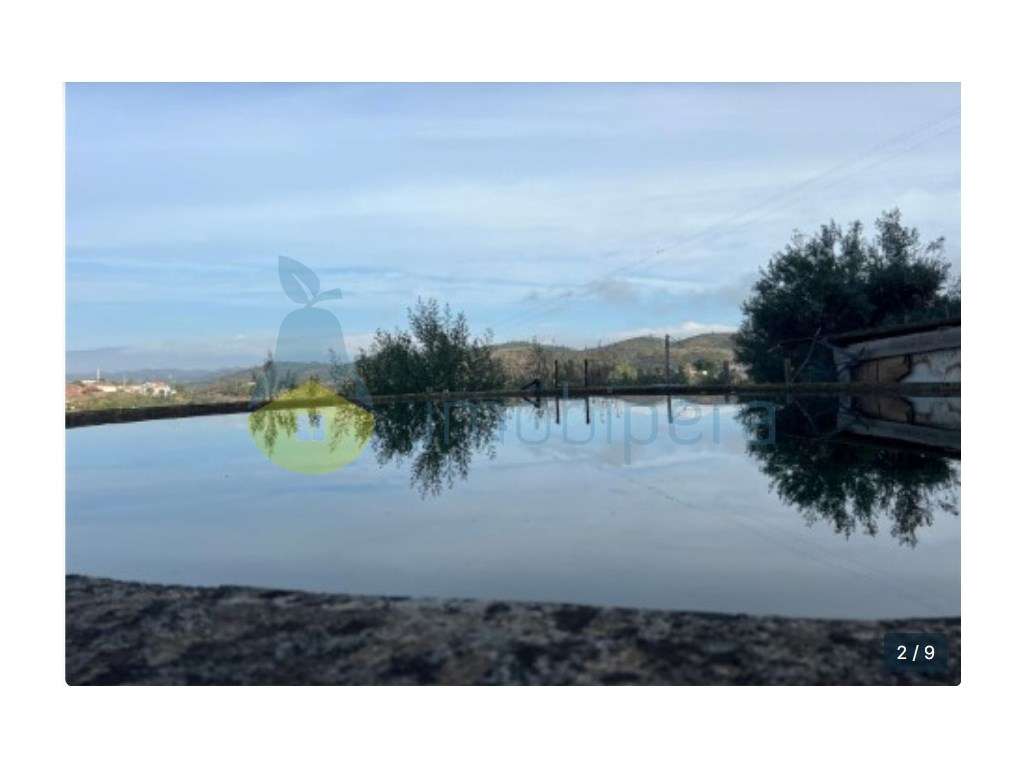 Terreno de 52.000 m² com Frente de Rio e Cais Licenciado - Oportuni... - Grande imagem: 5/21