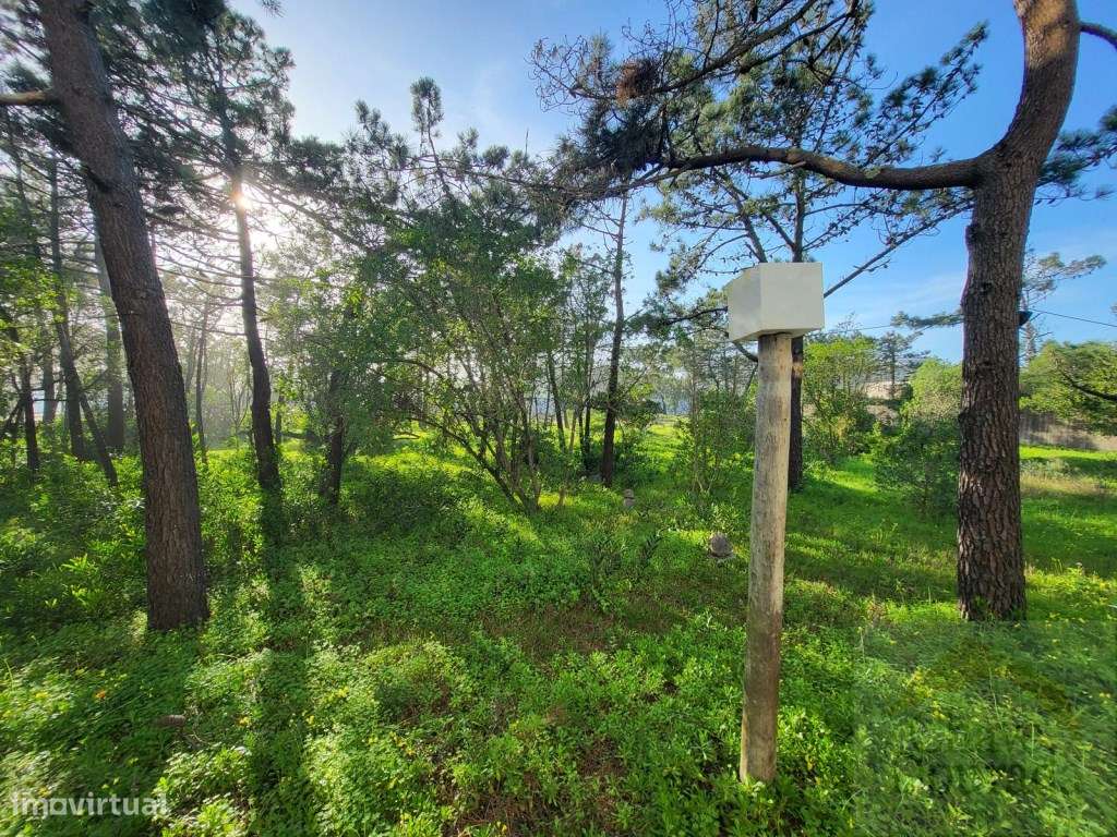 Hotel 3 estrelas - Figueira da foz-29