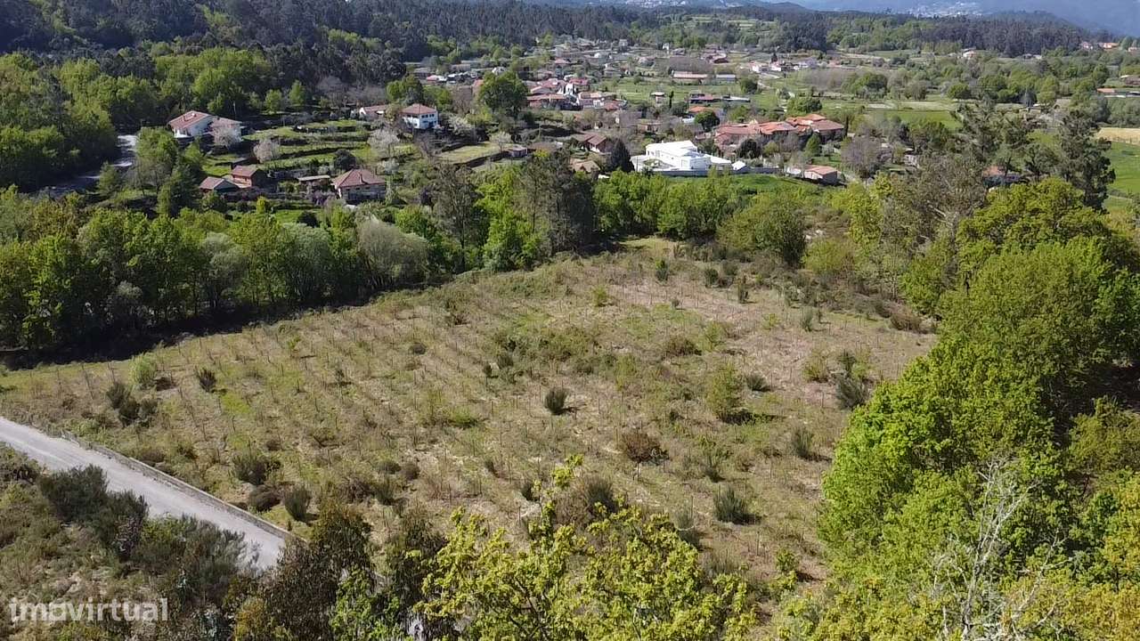 Terreno – Vouzela-10