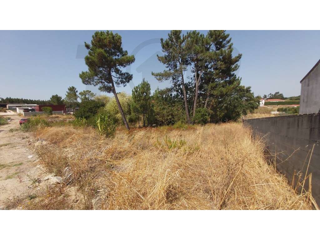 Terreno rústico com 7.600m2 - Pontével - 50.000€ - Grande imagem: 5/9