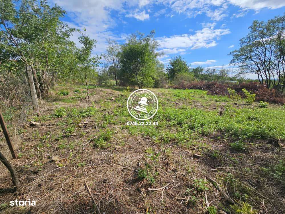 Teren intravilan 900 m , Aroneanu , 1km de la rond , langa padurice - Imagine principală: 5/6