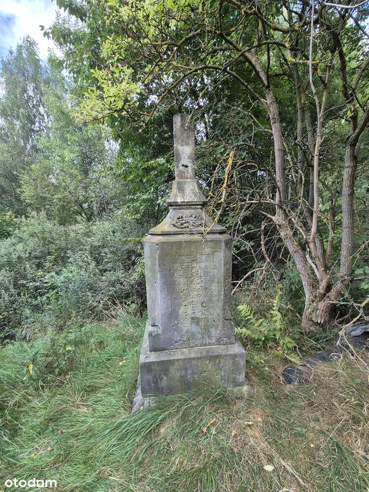 Sprzedam gospodarstwo rolne-14