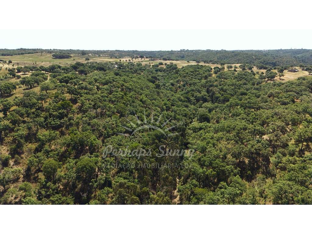 Terreno Misto para construção de Habitação ou Turismo - Melides-24
