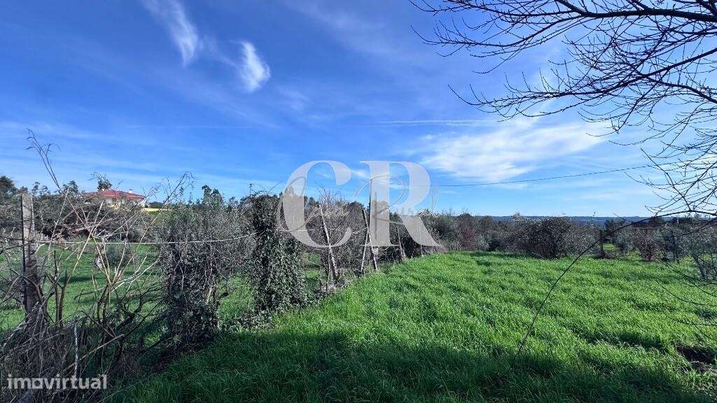 Quinta com casas de pedra para recuperar, poço e furo-19