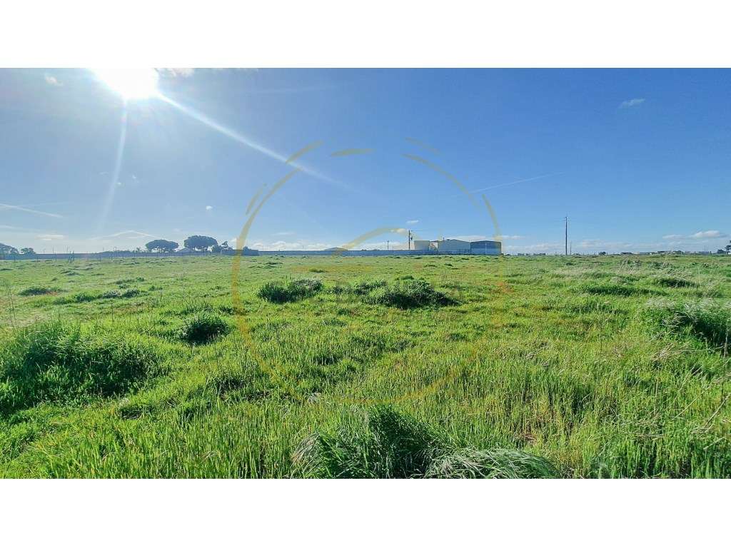 Terreno Sarilhos Grandes - Montijo - 159.900€-6