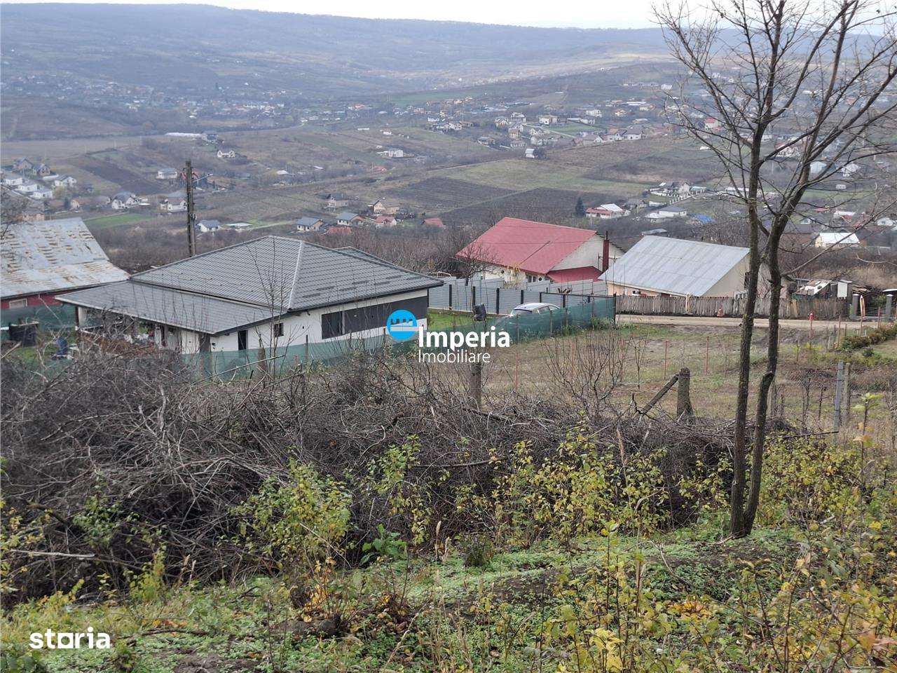 Ocazie! Tomesti Chicerea, teren intravilan cu utilitatile, priveliste-3