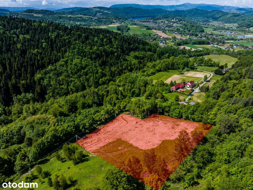 Działka widokowa w sąsiedztwie lasów - Pełny obrazek: 5/16