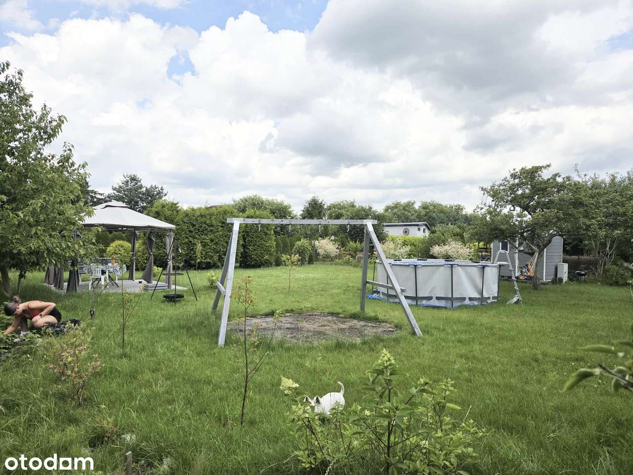 Oferuję przeniesienie prawa do działki ROD-3