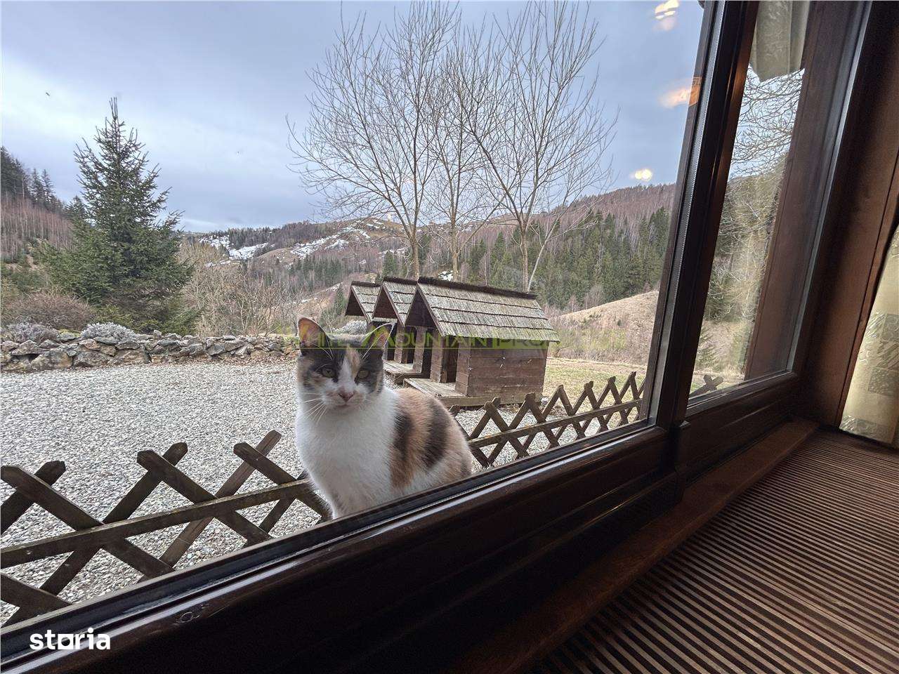Raritate| Teren de vis de  6 ha de vanzare in Pestera Brasov - Imagine principală: 4/20