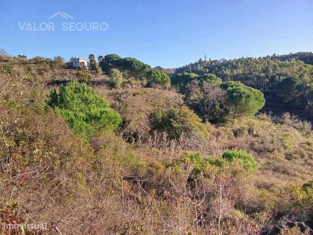 Terreno rústico em Vale Serrão, Pereiro de Palhacana, Alenquer-27
