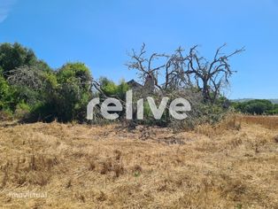 Quinta com vista mar em Santa Cruz, Santiago do Cacém - Grande imagem: 5/24