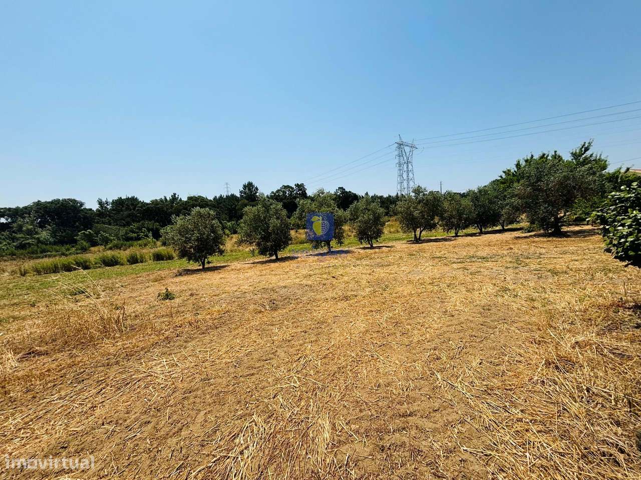 Terreno Urbano com 3.695 m2 em Alcoentre, com viabilidade de construçã - Grande imagem: 2/13