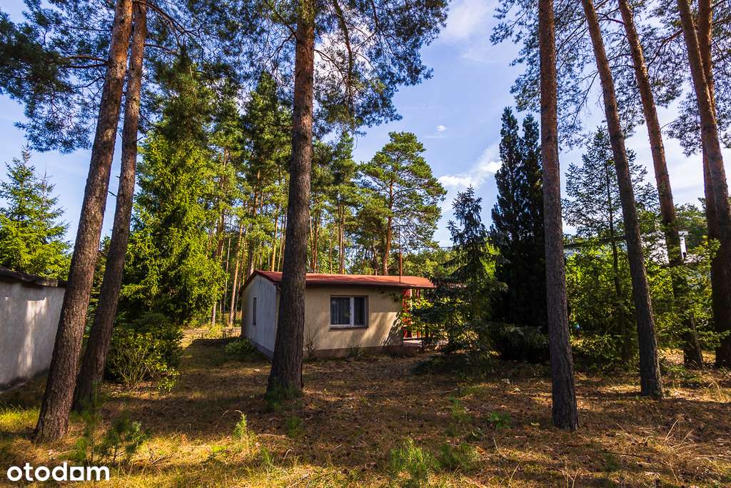 Domek letniskowy z mediami 4 km od Uniejowa - Pełny obrazek: 4/20