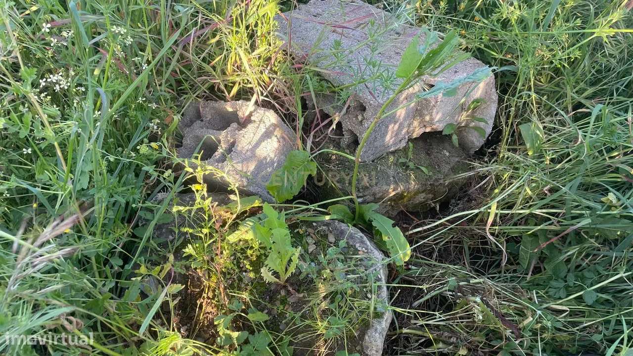 Terreno com 2Ha nos Enxames, Concelho do Fundão - Grande imagem: 4/13