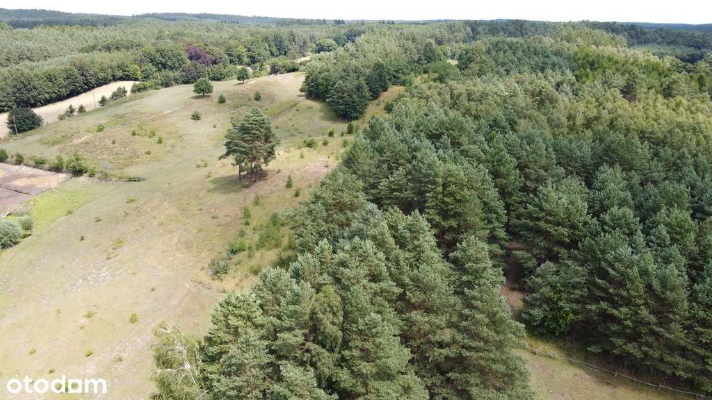 Działka rolna w Górzyskach Nowa cena - Pełny obrazek: 5/8