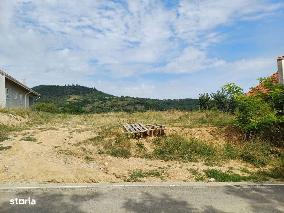 teren intravilan de vanzare in Saliste-6