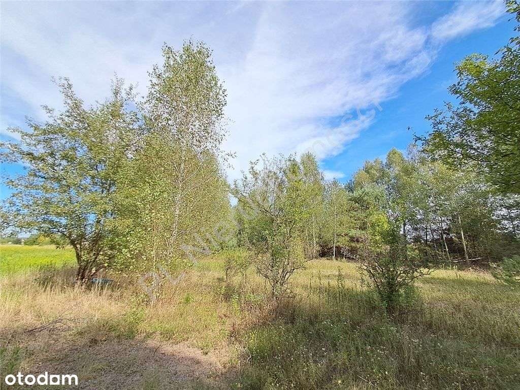 Działka blisko wjazdu na A2 z wodociągiem! - Pełny obrazek: 4/6